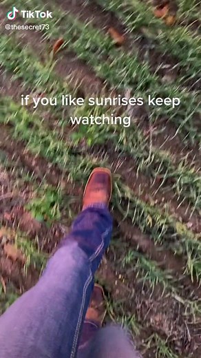 #sunsets #sunrise #beautiful #nature #sunset #lovethislife #fyp #calming #foryou #blowthisup