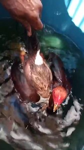 1.7M views · 10K reactions | A open mind is a powerful mind... Many think they are open minded but in reality they have many absolute beliefs that prevent them from ever trying new things. Just remember seek advice and never approval you don't have to share everything that you are doing. Just try it as a learning experience not as a good or bad or pass or fail. Just a opportunity to learn and better understand something new. | Journey to the Pit | Facebook