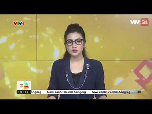 Xăng Sinh Học E5 Là Gì? - Tin Tức VTV24