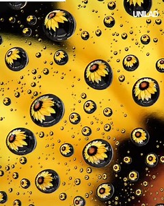 Incredible Photography Hacks