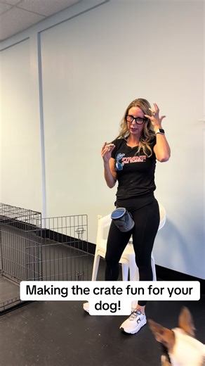 Crate Training: Making It Fun for Your Dog