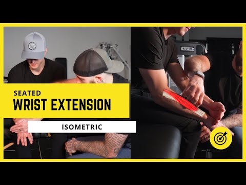 Wrist Extension Isometric | Restore Wrist Strength Without Movement
