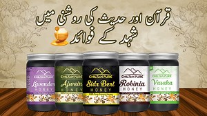 343K views · 4.7K reactions | Top Amazing Benefits of Honey & How To use: [ شہید ]  Buy Now Chiltan Pure Honey   https://chiltanpure.com/product-category/honey/ | Bolan Clinic Skincare Products Pakistan | Facebook