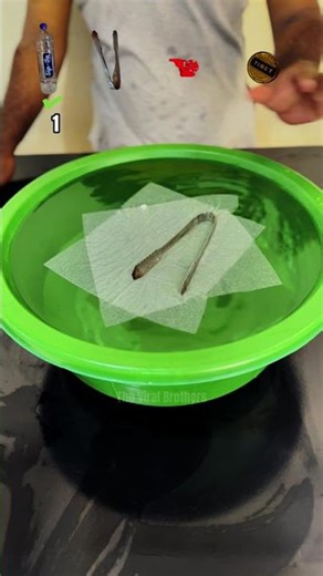 Tong vs 3D Modeling Toy – Which Needs More Tissues to Float?