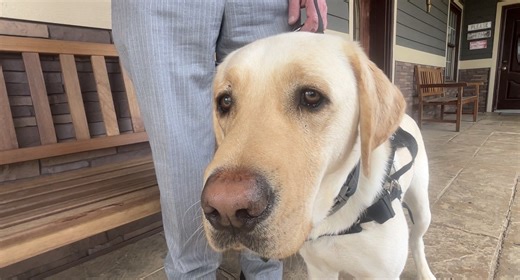 Greenwood mayor gets service dog to manage Parkinson’s