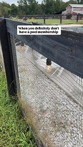 130K views · 19K reactions | Get donkeys they said. It'll be fun they said  #donkeys #mischief #minidonkeys #funny #petoftheday #petstagram | The Good Place Farm | Facebook