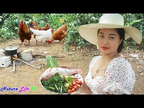 Beautiful girl cooks incredibly delicious red tilapia, Nature Life 88 with primitive food