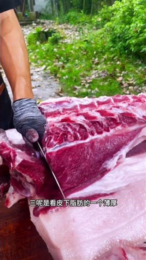 Authentic Local Pig Meat Free-range Black Pig Rural Local Pig Ensure Quality Belly Pork