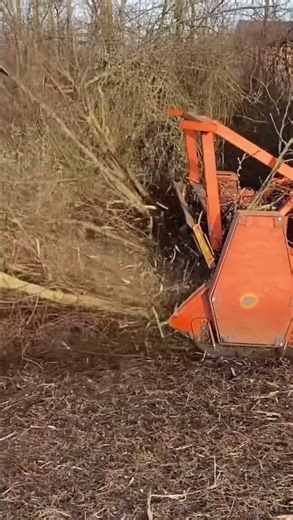 Defrisare vegetatie uscata cu tocator forestier 0723972846