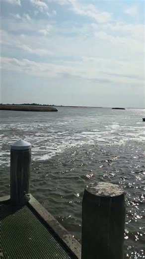 Cast netting fish Southeast Louisiana.