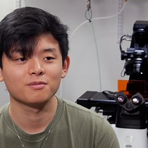 Video: Author Spotlight: Evaluation of Protein-Condensate Dynamics in Live Human Cells