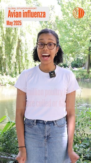 What was the avian influenza situation like in May? 🦆 12 outbreaks in poultry and 18 outbreaks in non-poultry birds and in mammals were reported across the Americas, Asia and Europe. 🦆 About 2.39 million poultry birds died or were culled, mostly in the Americas. 🦆 The number of new outbreaks and new events worldwide has decreased, which is consistent with the known seasonality of HPAI in poultry. 🦆 Avian influenza was reported for the first time in poultry in Brazil and Bulgaria. 🦆 No outbr