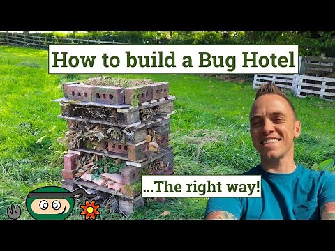 How to build a bug hotel: the right way!