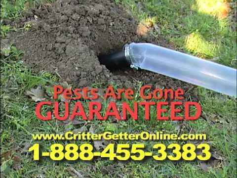 The Crittergetter - Gopher and Mole Control
