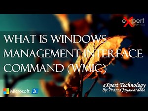 What is Windows Management Interface Command (WMIC)