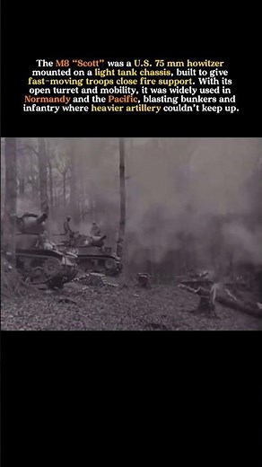 The Tank That Saved Soldiers' Lives in WWII #Military #History