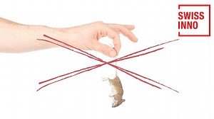 Watch Promotion Video No See No Touch Mouse Trap on Amazon Live