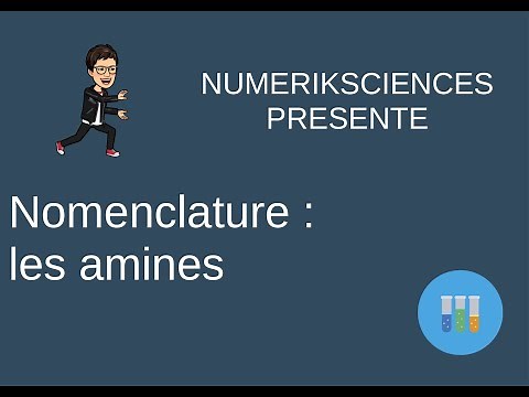 nomenclature les amines