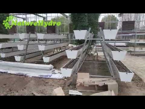 Hydroponic Rain Gutter Grow System