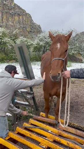 1.9M views · 25K reactions | I got a dreaded phone call the other day...