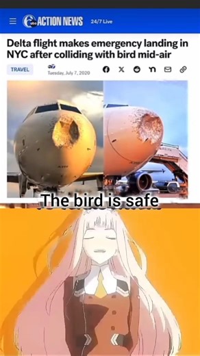 The power of a bird🐦#memes #shorts #airplane