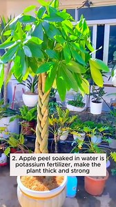 7.4K views · 71 reactions | Five types of home irrigation you must know #gardeningfun #gardening_feature #urbangardening #gardeninguk #gardeningphoto #gardeningistherapy #gardening101 #gardeningisfun #gardeningtime #gardeningday #gardeningproblems #gardeninggoals #gardeningideas #gardeninglove #gardening4pleasure #gardeningtips #gardeningmakesmehappy | Home Gardening | Facebook