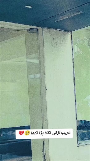 Exploring Cross-Cultural Themes in Wrestling and Relationships