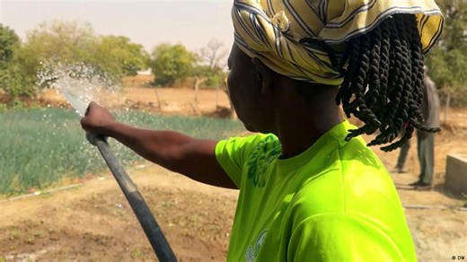 Solar-powered irrigation transforming life in northern Ghana | Todd Buhrows