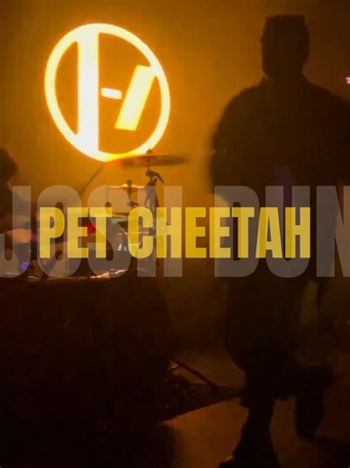 Pet Cheetah x Heavydirtysoul - Twenty One Pilots (3/3) 🔥 #twentyonepilots #lyrics