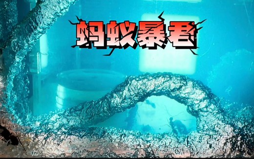 蚂蚁大战！入侵者胆敢袭扰蚁后？蚂蚁暴君震撼登场！
