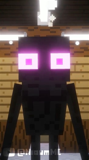 Quand un ENDERMAN se regarde dans un miroir...