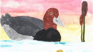 Seattle celebrates Neighbor Day May 4, and we want to start early with a shout-out to a local business that has been a good neighbor to us! Print Fusion, thank you for the care you take to turn Junior Duck Stamp art into beautiful prints, and the excellent service. #neighborday | Birds Connect Seattle