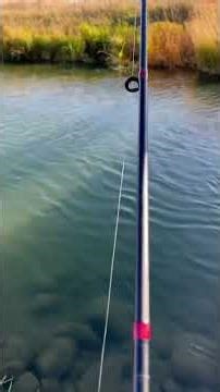 Fishing in Saskatchewan Lake Diefenbaker and Sublime summertime. #sublime #fishing #saskatchewan