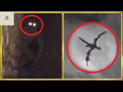 30 Mythical Creatures Caught On Camera & Spotted In Real Life!
