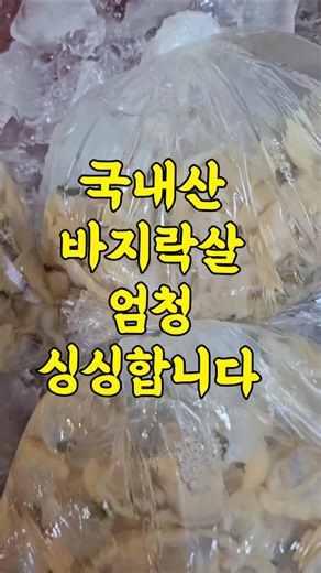 4/5일 국내산 바지락살 엄청 싱싱합니다 바지락살