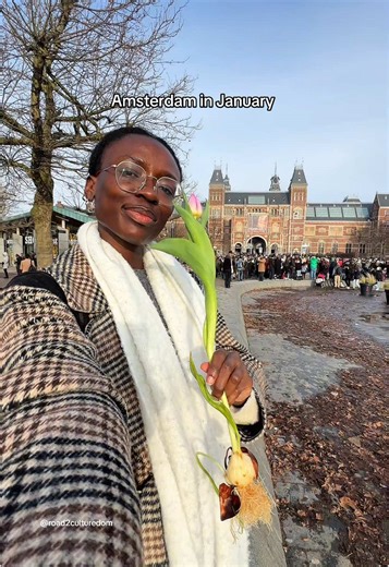 5 Reasons to Visit Amsterdam in January