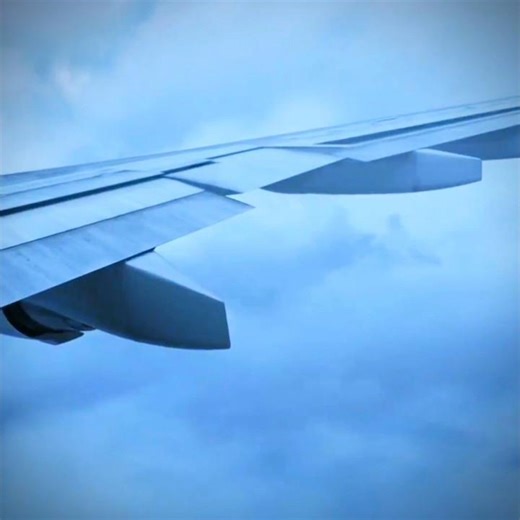 Thai Airways 311 - The Lost Plane | #cvr #edit #viral #plane #crash #airbus #a310 #thailand #thai