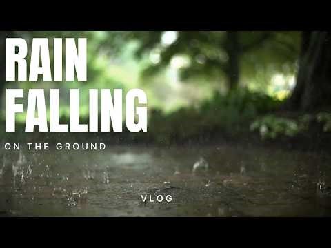 Calm Spring Shower in a Green Garden 🌿🌧️ | Soothing Background for Study & Focus