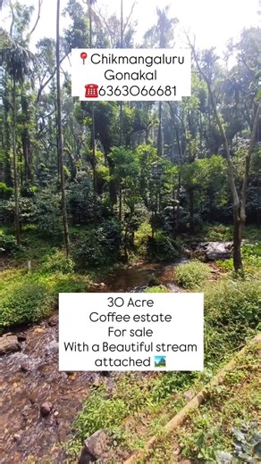 🌿 PREMIER RAINFOREST ALLIANCE & UTZ CERTIFIED COFFEE ESTATE FOR SALE 🌿 A Rare 30-Acre Gem in Chikkamagalur’s Western Ghats An exceptional opportunity to acquire a highly sustainable, certified, and productive coffee plantation in the pristine hills of Chikkamagalur, the heart of Indian coffee country. The estate boasts lush Arabica coffee plants shaded by a natural forest canopy of mature timber trees and is supported by a reliable perennial stream. 📍 Estate Features & Certifications Location