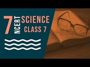 Class 7: Science (Chapter 2: Nutrition in Animals)