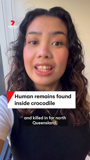 4.4K views | Human remains have been found inside a crocodile that was captured and killed in far north Queensland which has ended the search for a 40-year-old NSW man taken from a riverbank. #crocodile #croc #missingman #Queensland #NSW #7NEWS | 7NEWS Townsville | Facebook