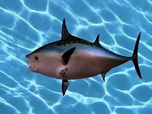 SpongeBob intro (Romanian)+ title card “Krab Borg”