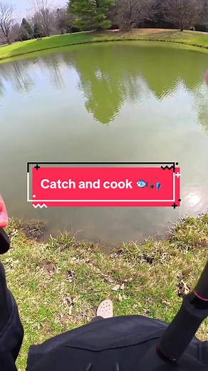 Catch and Cook Big Fish for Lunch 🐟🎣