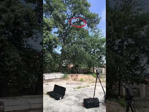 Laser obstacle remover: remote tree cutting for power grids without manual tower climbing