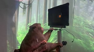 Elon Musk's Latest Venture -- Bluetooth-Enabled Implantable Chips For The Brain - CBS San Francisco