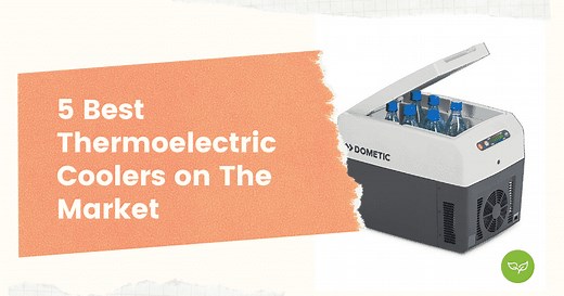 5 Best Thermoelectric Coolers Reviewed & Tested [Buying Guide] - Tiny Living Life