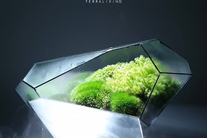 12K views · 426 reactions | A weekend retreat and de-stressing into...