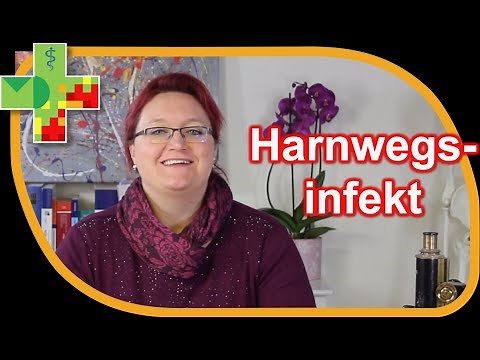 Cystitis Urinary Tract Infection What to Do Home Remedies Symptoms and Treatment