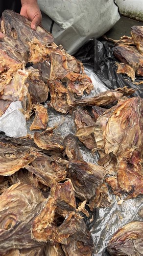 How to Prepare Stockfish: A Step-by-Step Guide