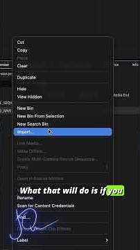 Best Premiere Pro and Resolve color settings